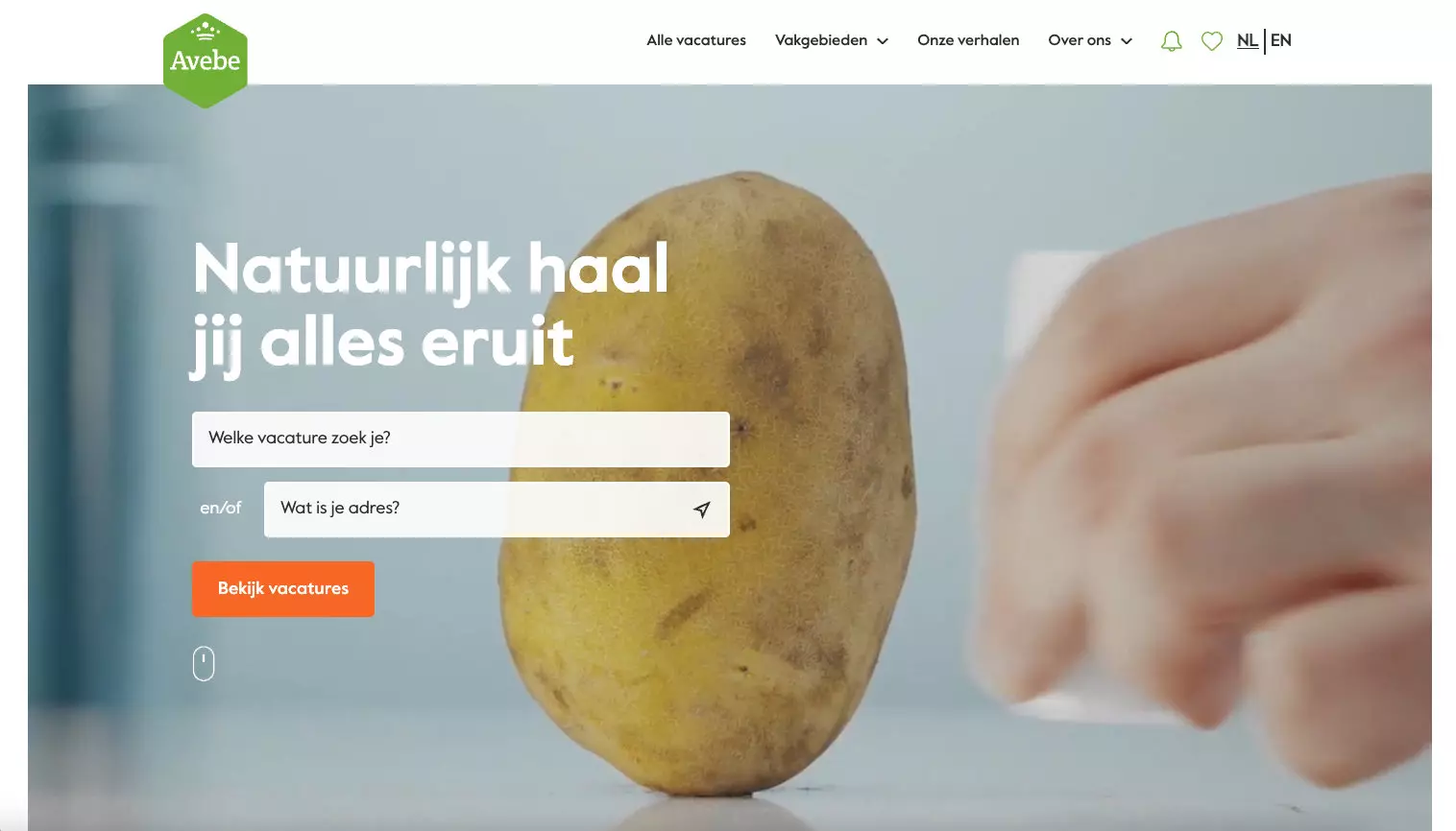 werken bij Avebe webdesign webdevelopment